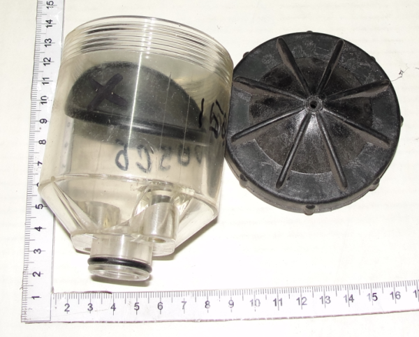 Bachok maslennii D174 (1505.005) (11726) Bachok maslennii D174 (1505.005) (11726)