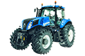 T8