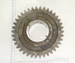 2022 SHesternya 2022-1601086 (13463)