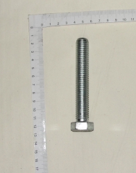 селфорд фото