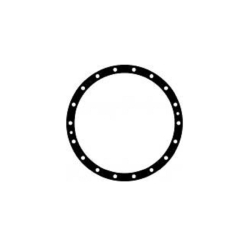 prokladka-7002302052-vstavki-differenciala