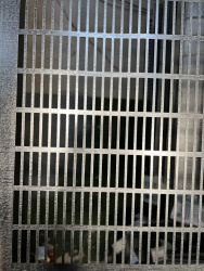 Полотно решетное ОВСП-70 (790990) продольное отв