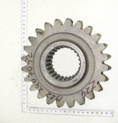 1523 SHesternya 1522-2407052 z24 (13437)