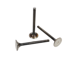 Клапан впускной 236-1007010-В (5)