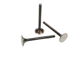 Клапан впускной 236-1007010-В (5)