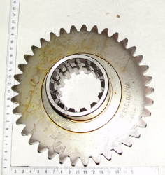 1221 SHesternya 80-1701313 z37 (14290)