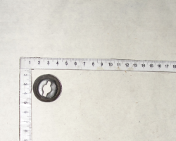 Noriya SHaiba M8 (13397)