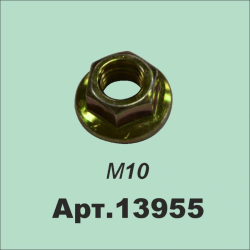 13955