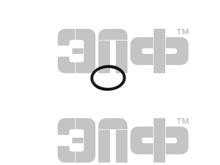 Кольцо упл.форсунки 33.1112342 БРТ (2)