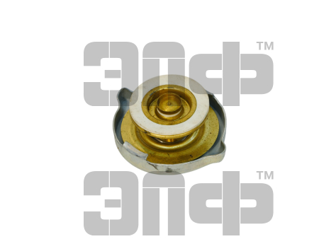 Крышка радиатора А21.01.270 (большая) ПОЛЕСЬЕ (2)