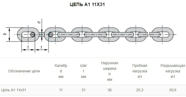 11 31