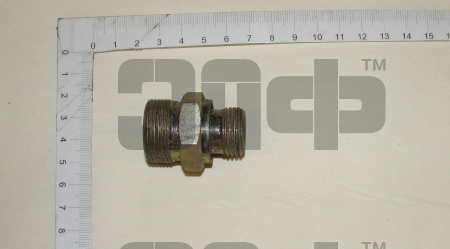 DSC08186