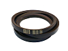 Ремень GATES AGRI 2602145 (9765-70649) (1)
