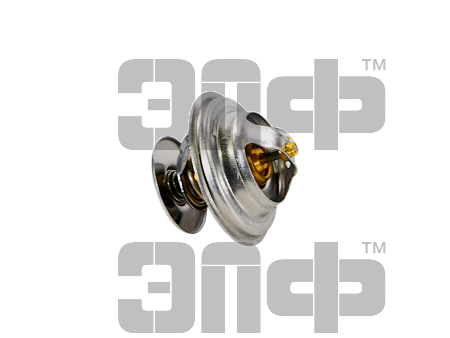 Термостат 200150049638 (для гарантии) (1)