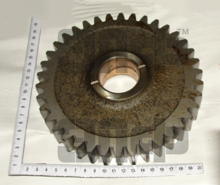 1523 SHesternya 1520-1701340 (9853)