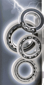 102306 Podshipnik (7878)