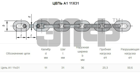 11 31