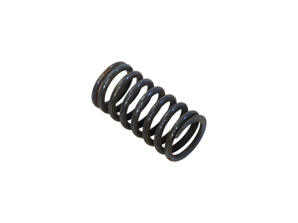 Пружина 700.17.16.105-2