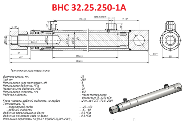 POLESE Gidrocilindr VNS 32.25.250 podema motovila (14180)