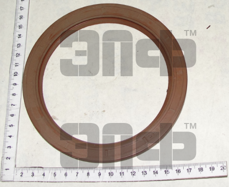 KAMAZ Salnik kolen.vala 7406.1005160-01 120h150h12 Evro-2 (11356)