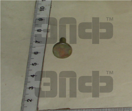 1221 Suhar 142-1601316 (mahovika) (9685)