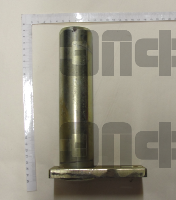 селфорд фото