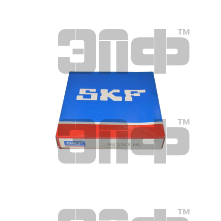 1015 SKF (2)