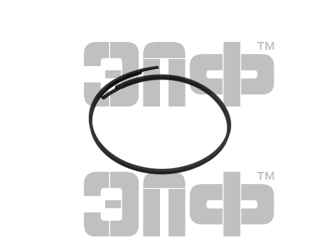 Кольцо уплотнительное 744Р-17.01.512 (2)