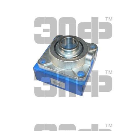 lrg208 (2)