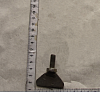 SPCH Vint mikrometricheskii SPP6-06.13.000 (13356)