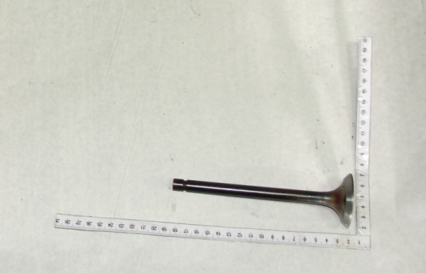 MTZ Klapan vpusknoi D240 -1007014 bolshoi (9960)