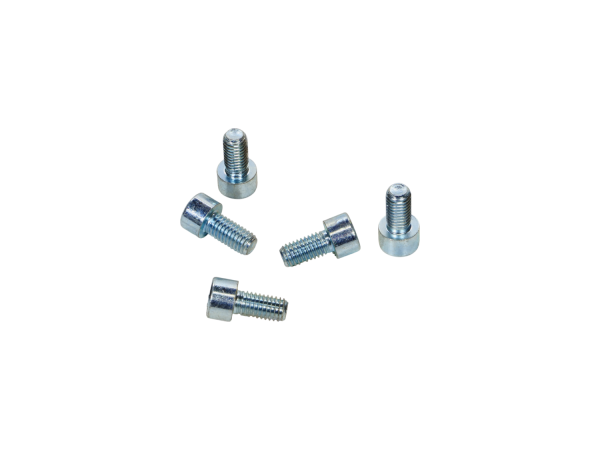AMAZONE Винт сошника 912816 М8х16 (D9-60, СЗ-6 ритм)