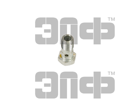 Болт штуцерный М14х1,5х30 310096-П29  ЯМЗ-236 (1)