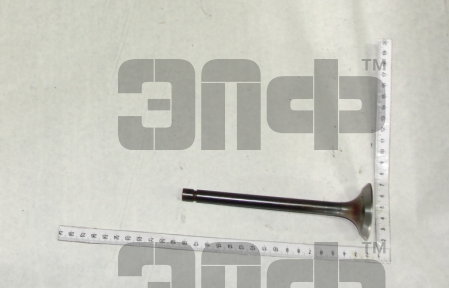 MTZ Klapan vpusknoi D240 -1007014 bolshoi (9960)