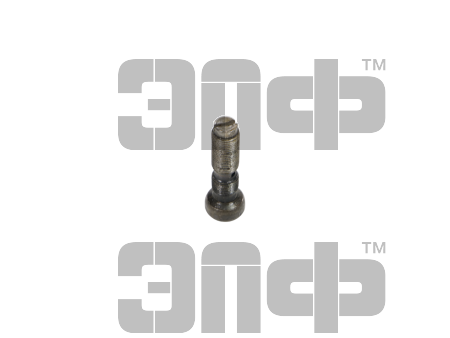 Винт регулировочный 236-1007148-Б (2)