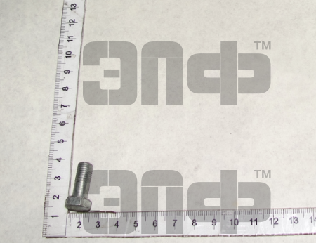 MTZ Bolt 240-1104787 shtucera (diam 8) (13209)